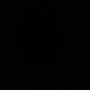 Meet your Posher, Jaden